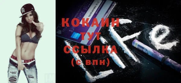 сатива Краснослободск
