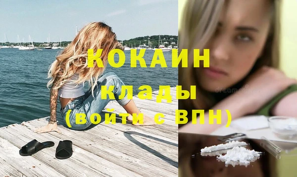 сатива Краснослободск