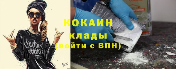 сатива Краснослободск