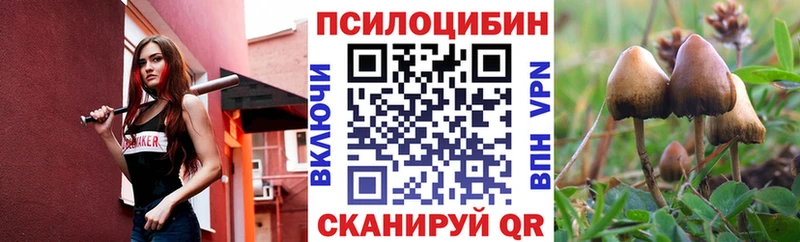 Галлюциногенные грибы Cubensis  Купить закладки  Мглин 